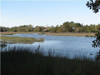 8 Broadmarsh Ct, McClellanville, SC 29458