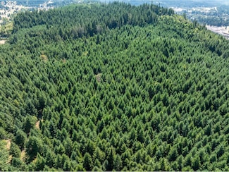 0 W 2nd St, Oakridge, OR 97463