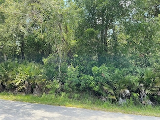 Lot 14 NW 118th Terrace, Ocala, FL 34482