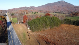 0 Helen Hwy Unit 10537798, Cleveland, GA 30528