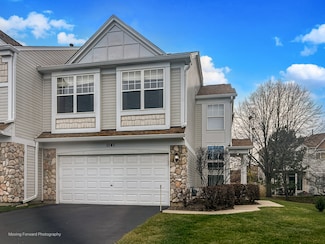 1141 Delta Ct Unit 255E, Elgin, IL 60123
