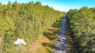 Tbd Possum Point Rd, Townsend, GA 31331