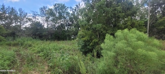 1459 Sawmill Hwy, Breaux Bridge, LA 70517