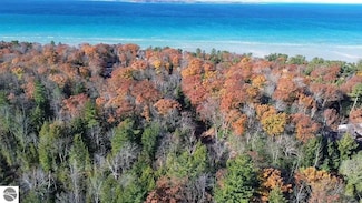 00 Hidden Dunes Ln Unit 29, Milton Township, MI 49648