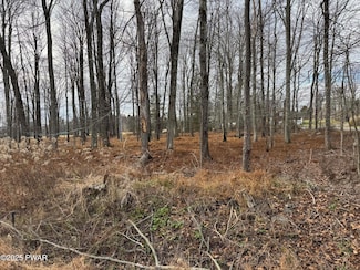 Lot 1 Hazelton Dr, Greene Township, PA 18426