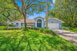 13744 Hidden Valley Ct, Hudson, FL 34667