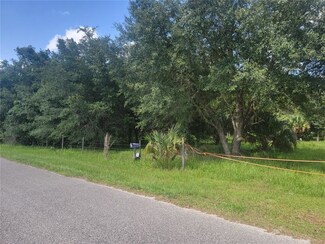 22585 NE 130th Court Rd, Fort Mc Coy, FL 32134