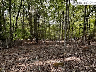 805 Pine Ridge Rd, Beech Mountain, NC 28604