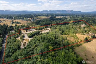 13945 Morris Rd SE, Yelm, WA 98597