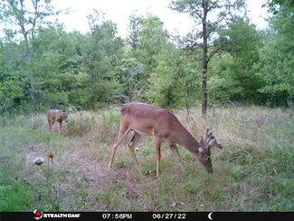 141 County Road 2349, Richland, TX 76681