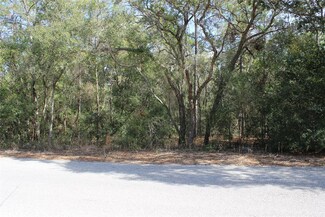 11715 S Rural Terrace, Floral City, FL 34436