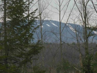 0 N Side Garnet Lake, Johnsburg, NY 12843