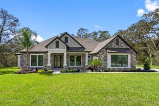 13466 Oldenburg Dr, Hudson, FL 34667