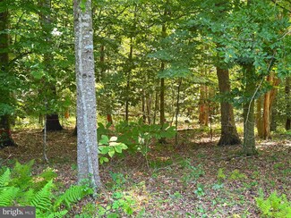 0 Rapidan Farms Dr Unit VACU2008410, Lignum, VA 22726