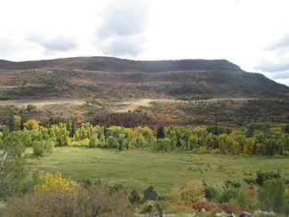 61971 Highway 330 E, Collbran, CO 81624