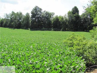 15401 W Herbison Rd, Eagle, MI 48822