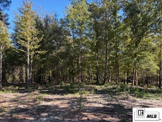 000 Plum Hill Church Rd 71294