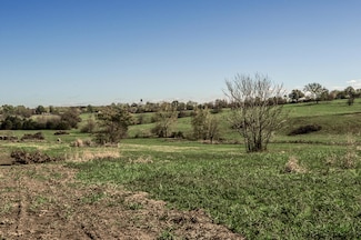 Tract 1 E 425th Rd, Fair Play, MO 65649