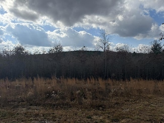 6.25 Acr Valerie Dr, Deer Lodge, TN 37726