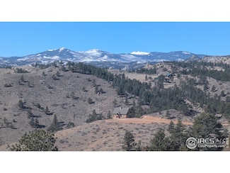 397 Castle Mountain Dr, Glacier View Meadows, CO 80536