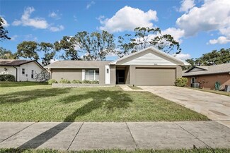 3063 E Dorchester Dr, Palm Harbor, FL 34684