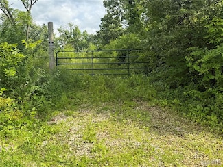 118 Esther St, Steelville, MO 65565