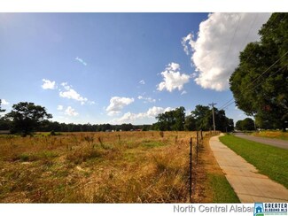 0 Beech Grove Rd Unit 771887, Cullman, AL 35057