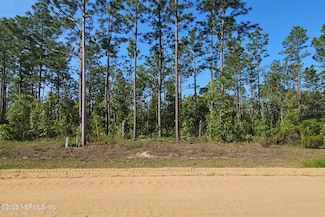 219 Cessna Way, Hawthorne, FL 32640