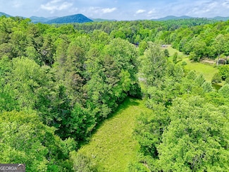 0 Peach Orchard Way, Tiger, GA 30576