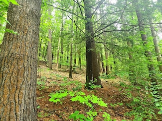 0 Lake Mattawa Rd, Orange, MA 01364