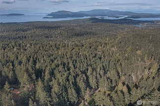 1087 Cady Mountain Rd, Friday Harbor, WA 98250