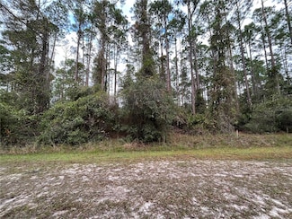 108 5th St, Georgetown Cove, FL 32139