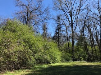 0 Brooks St Unit 1314799, Lake, MS 39092