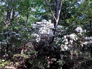 25+AC Millers Landing Rd, Woods Cross Roads, VA 23061