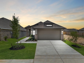 17014 Shimmer Ray St, Hockley, TX 77447