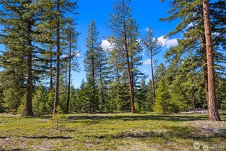 13 Wanawish Loop, Cle Elum, WA 98922