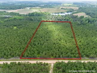 Tract 10 Unit Sanderling Road Al, Alma, GA 31510