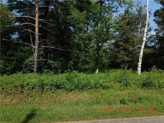 7692 Decker Rd, Derby, NY 14047