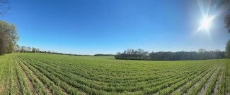 4832 Hwy 31w, Cottontown, TN 37048