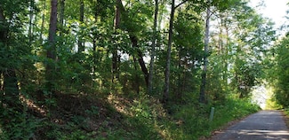 5 Treeline Dr, Dunlap, TN 37327