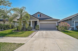 12014 Creek Preserve Dr, Riverview, FL 33579