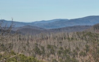 194 Andes Ridge, Ellijay, GA 30540
