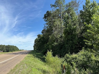 2 +/- Acres Hwy 49, Collins, MS 39428