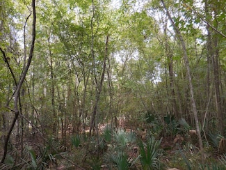 00 Lower River Rd, Eastman, GA 31023