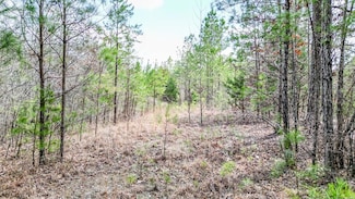 TBD Cr 277, Oxford, MS 38655