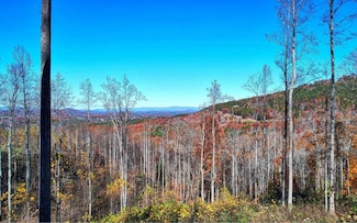 LT185 Thirteen Hundred, Blairsville, GA 30512