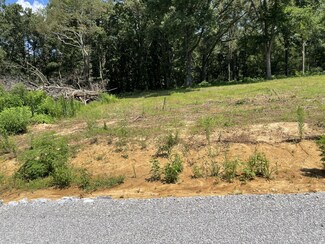 0 Hidden Hills Ln, Summertown, TN 38483