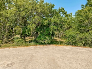 16 Simmons Ct, Ochlockonee Bay, FL 32346