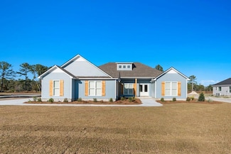 6441 Lake Alapaha Blvd, Naylor, GA 31641