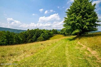 TBD Oak Grove Rd, Woodlawn, VA 24381